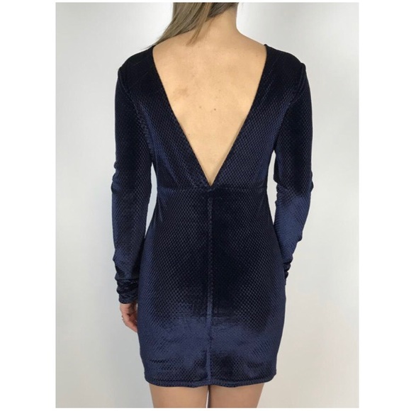 Black Swan Velvet Dress - Picture 3 of 8